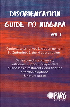 Disorientation Guide to Niagara, Vol. 1