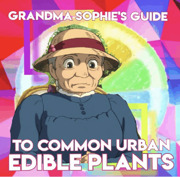 Leave them Bee // Grandma Sophie’s Guide to Urban Edible Plants